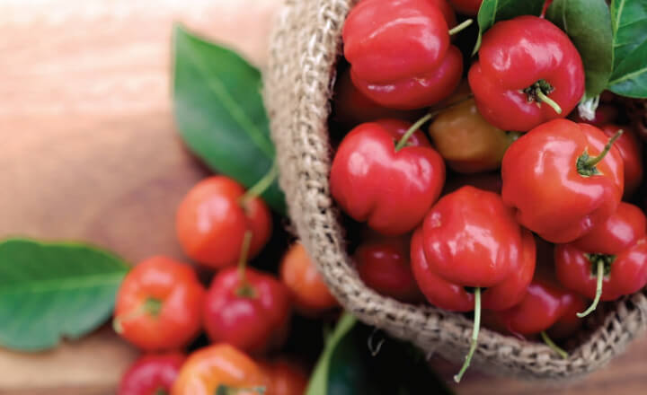 Vitamina C proveniente dall'acerola